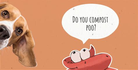 dog feces as fertilizer|How to turn dog poop into fertilizer .